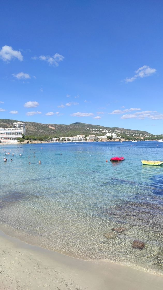 Place Palmanova Beach