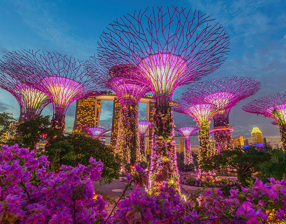 Lugar Gardens by the Bay