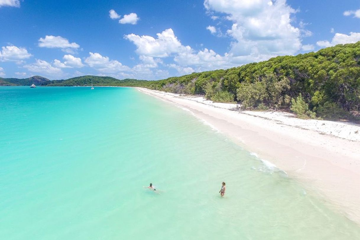 Lugar Whitehaven Beach