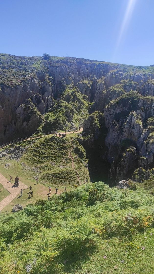 Lugar Picos de Europa National Park