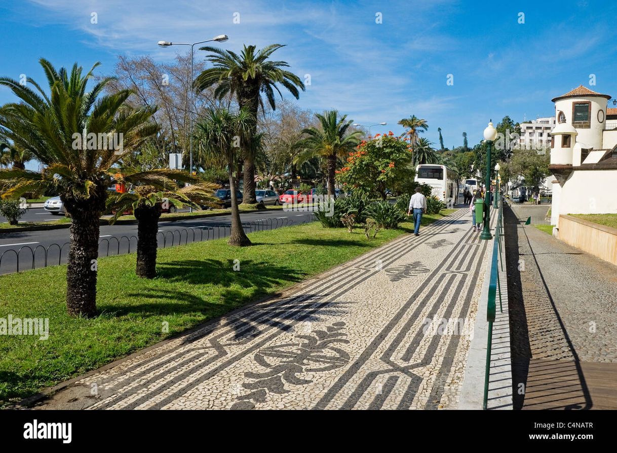 Lugar Avenida Do Mar