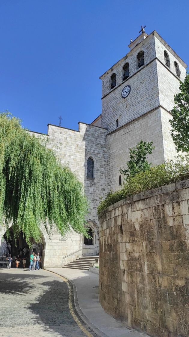 Place Catedral de Santander