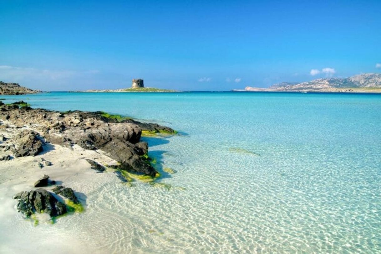 Lugares Spiaggia La Pelosa