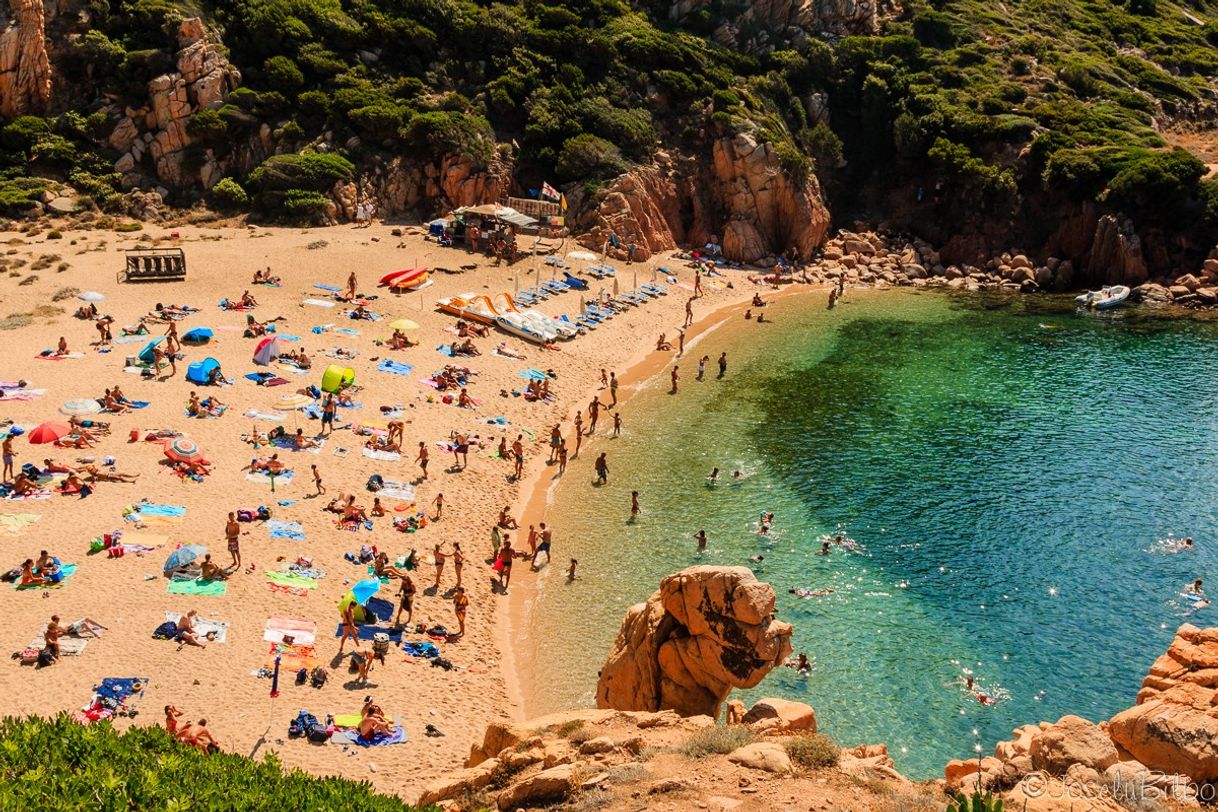 Place Spiaggia di Cala li Cossi