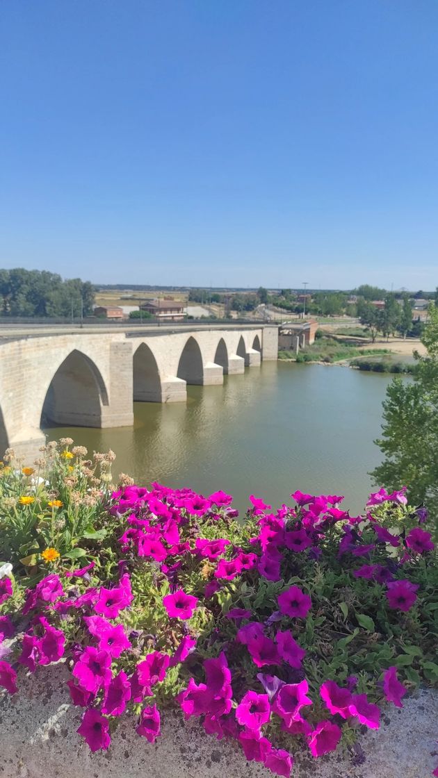 Place Puente medieval de Tordesillas