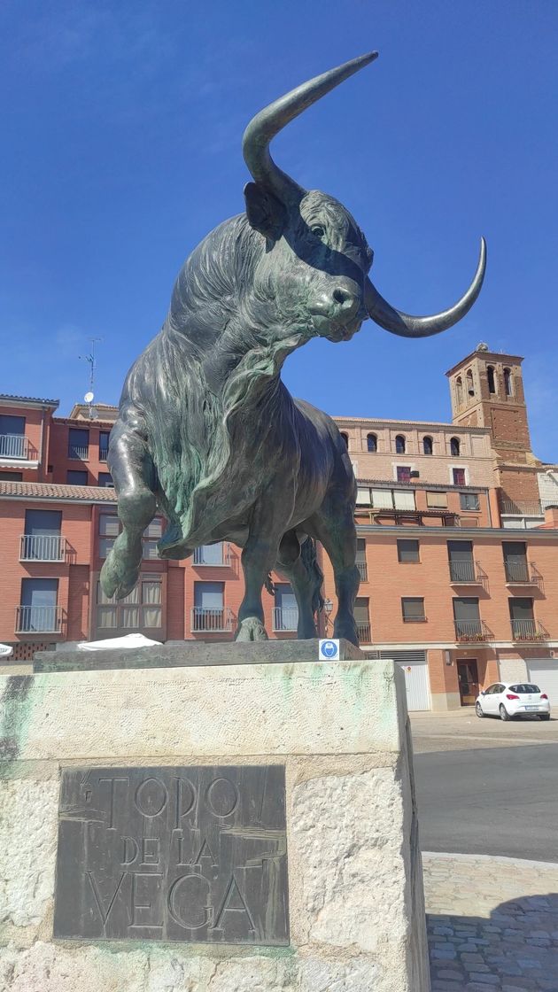 Place Toro de Tordesillas