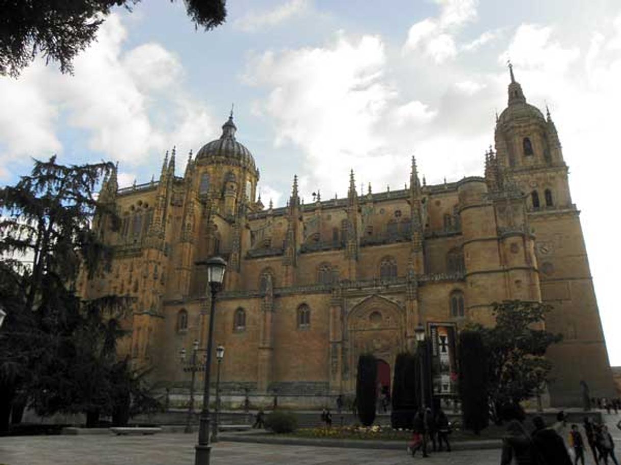 Place Catedral de Salamanca