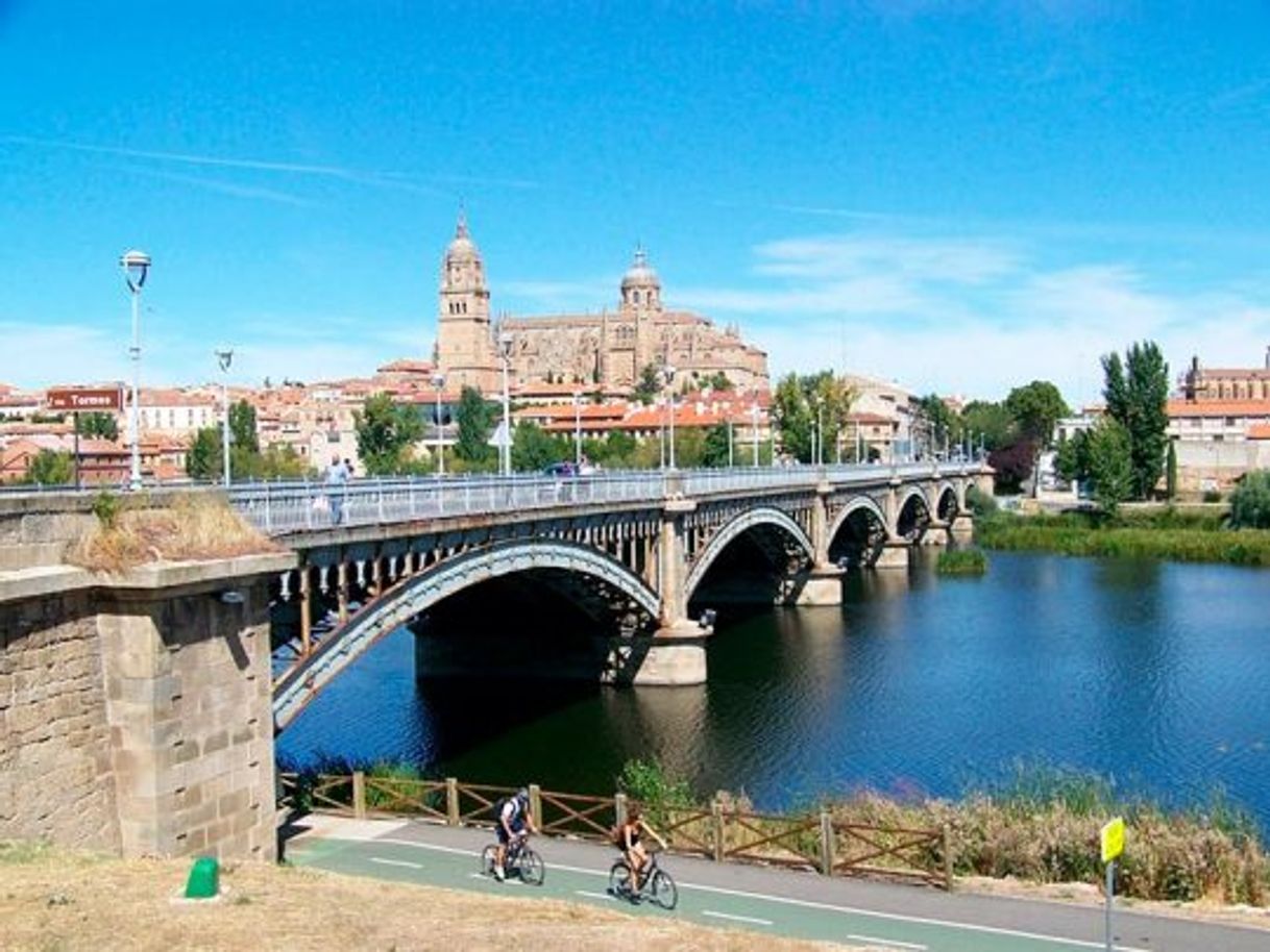 Lugares Puente de Enrique Estevan