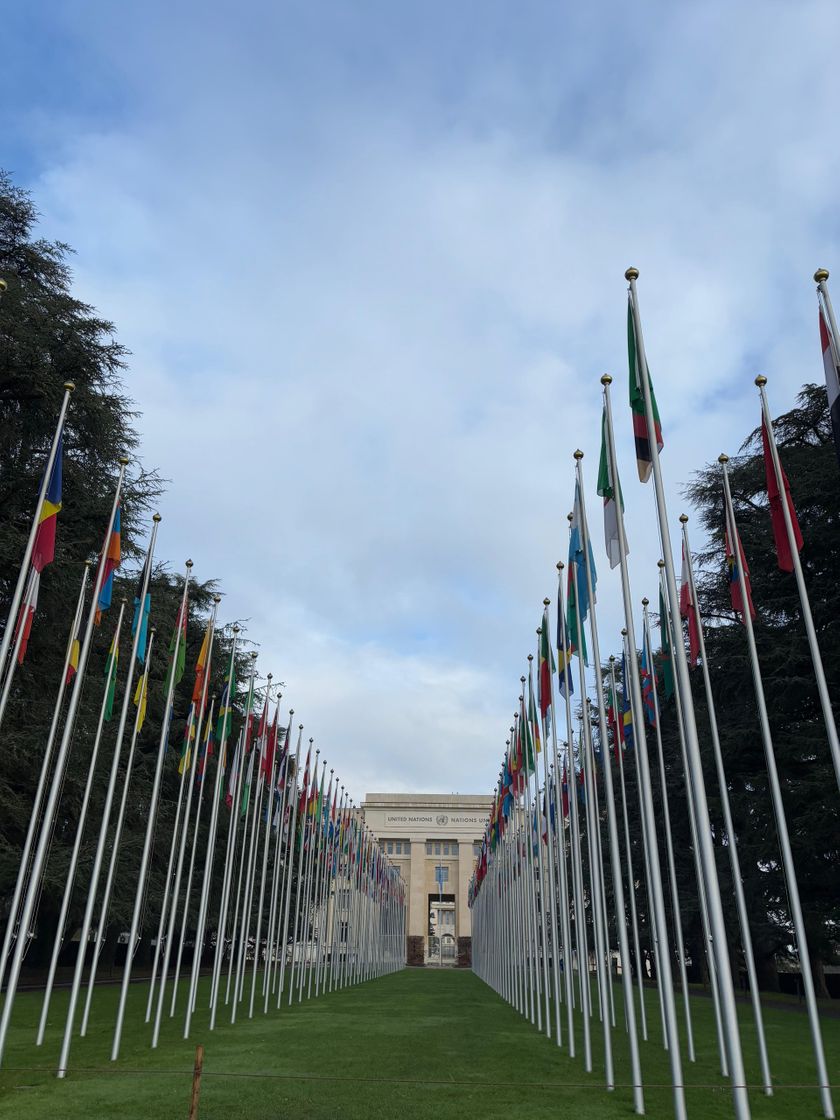 Lugar Palais des Nations