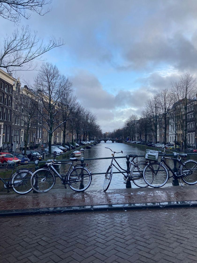 Place Jordaan