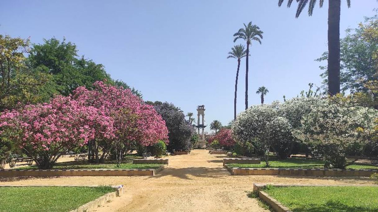 Lugar Jardines de Murillo