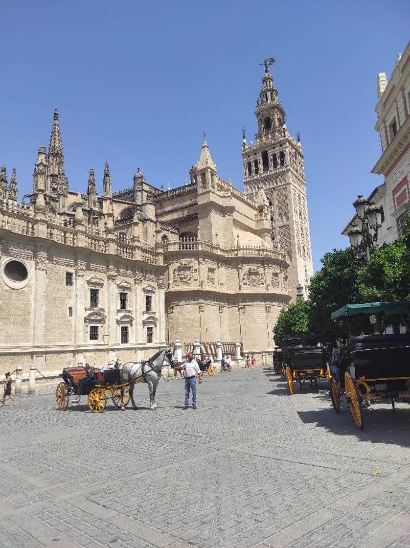 Lugar Catedral de Sevilla