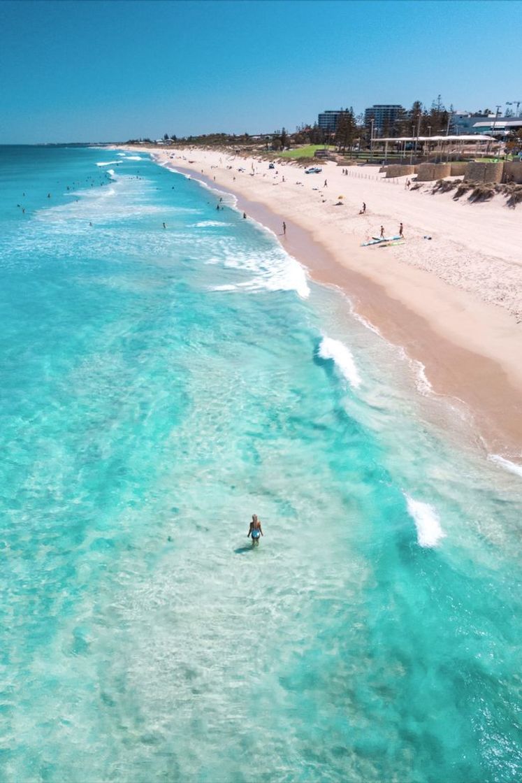 Place Scarborough Beach