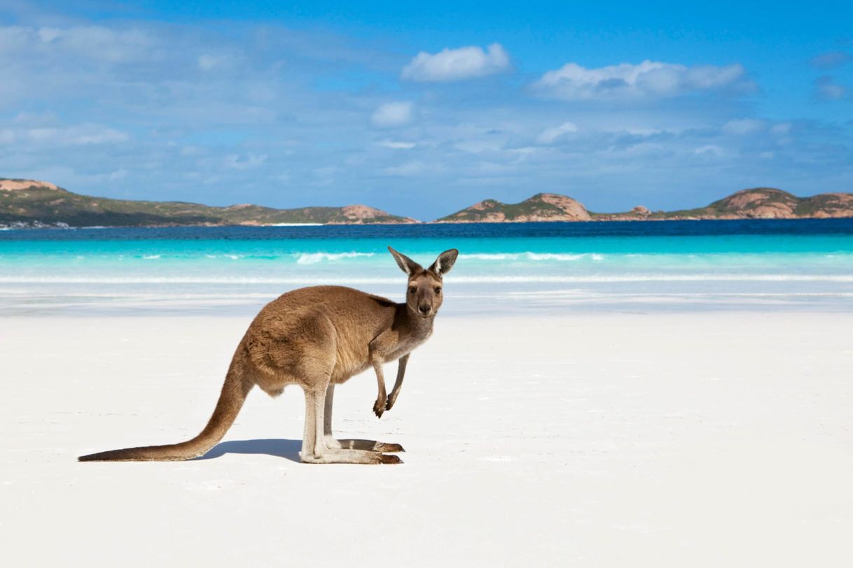 Place Lucky Bay