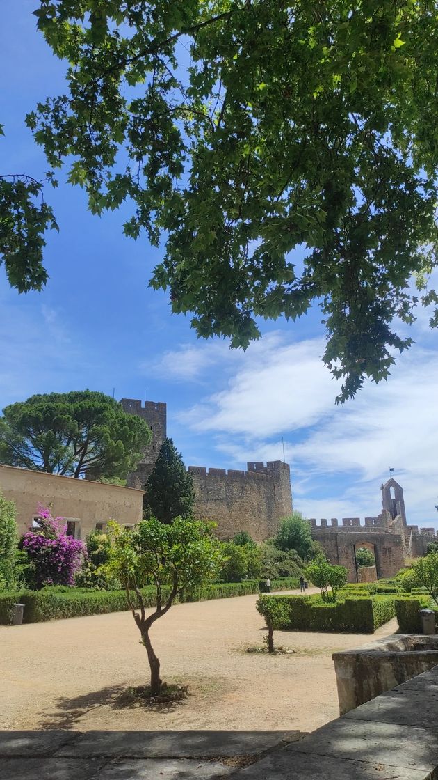 Lugar Castelo de Tomar