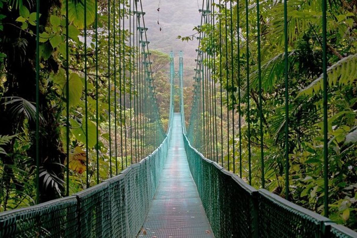 Lugares Mistico Arenal Hanging Bridges Park