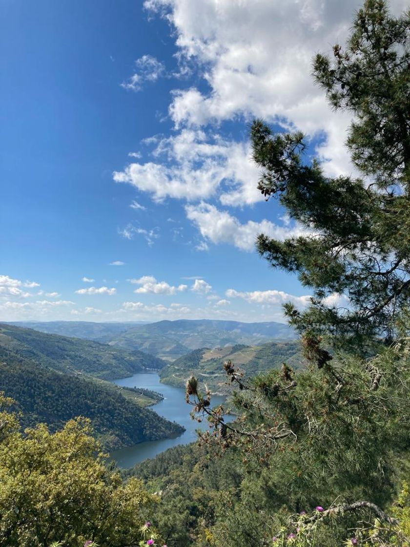 Lugar Mirador de Casal de Loivos