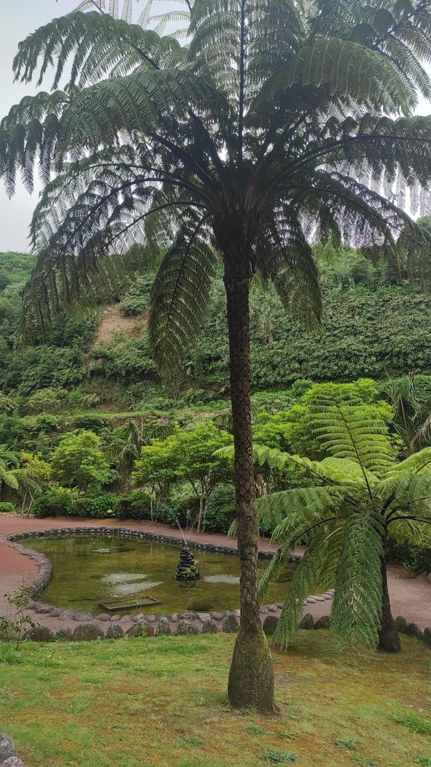 Place Parque Natural da Ribeira dos Caldeirões