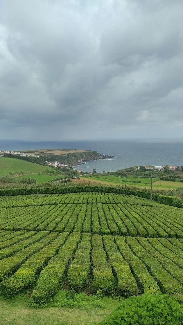 Lugar Fábrica de Chá do Porto Formoso