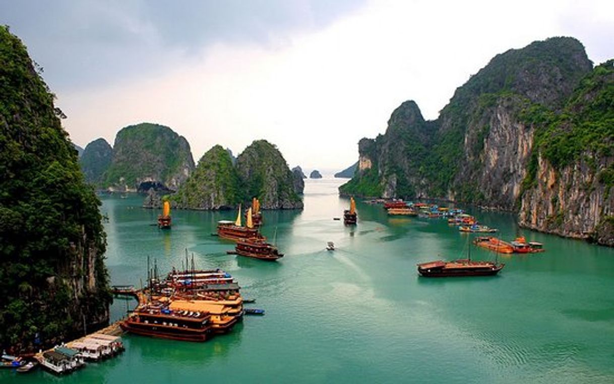 Place Hạ Long Bay