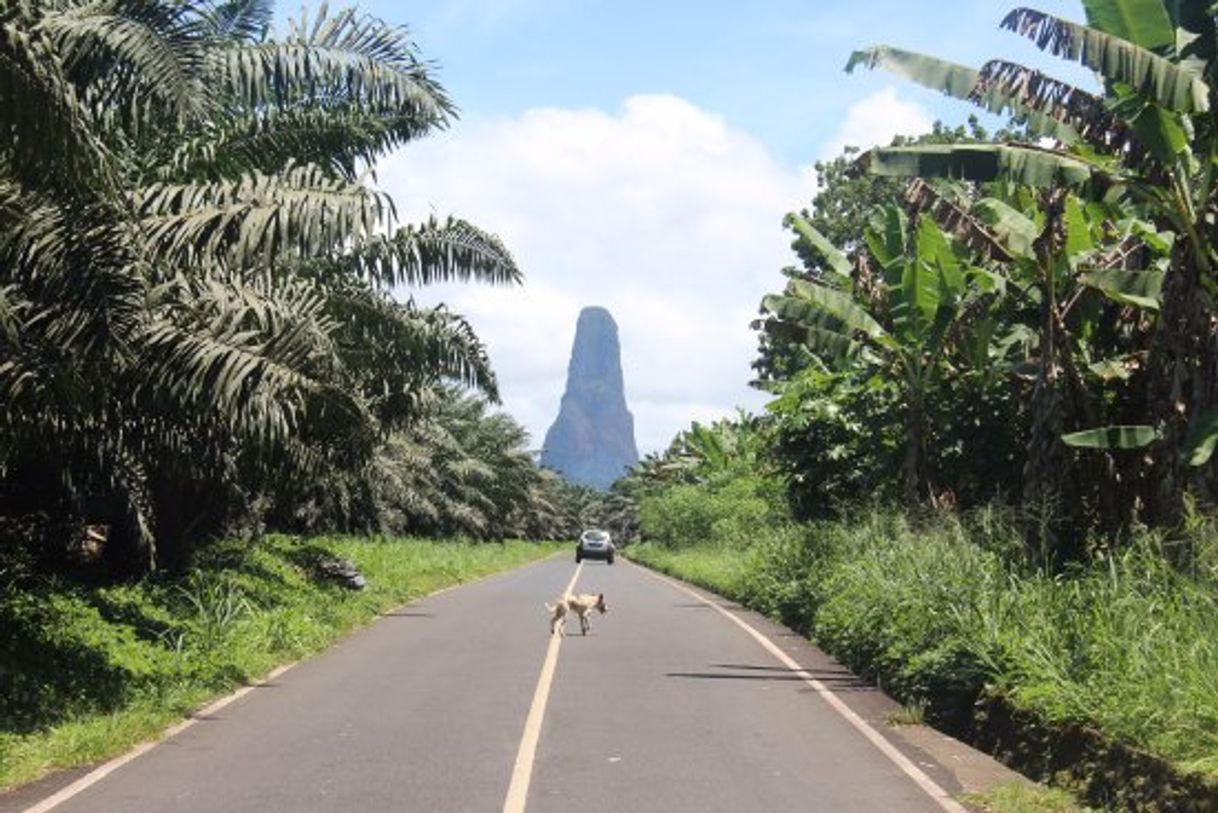 Lugar Pico Cão Grande