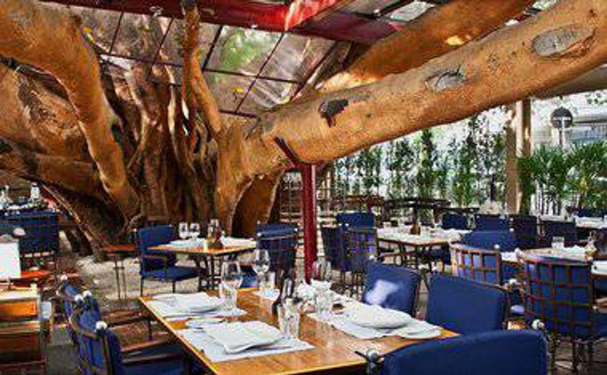Restaurants A Figueira Rubaiyat