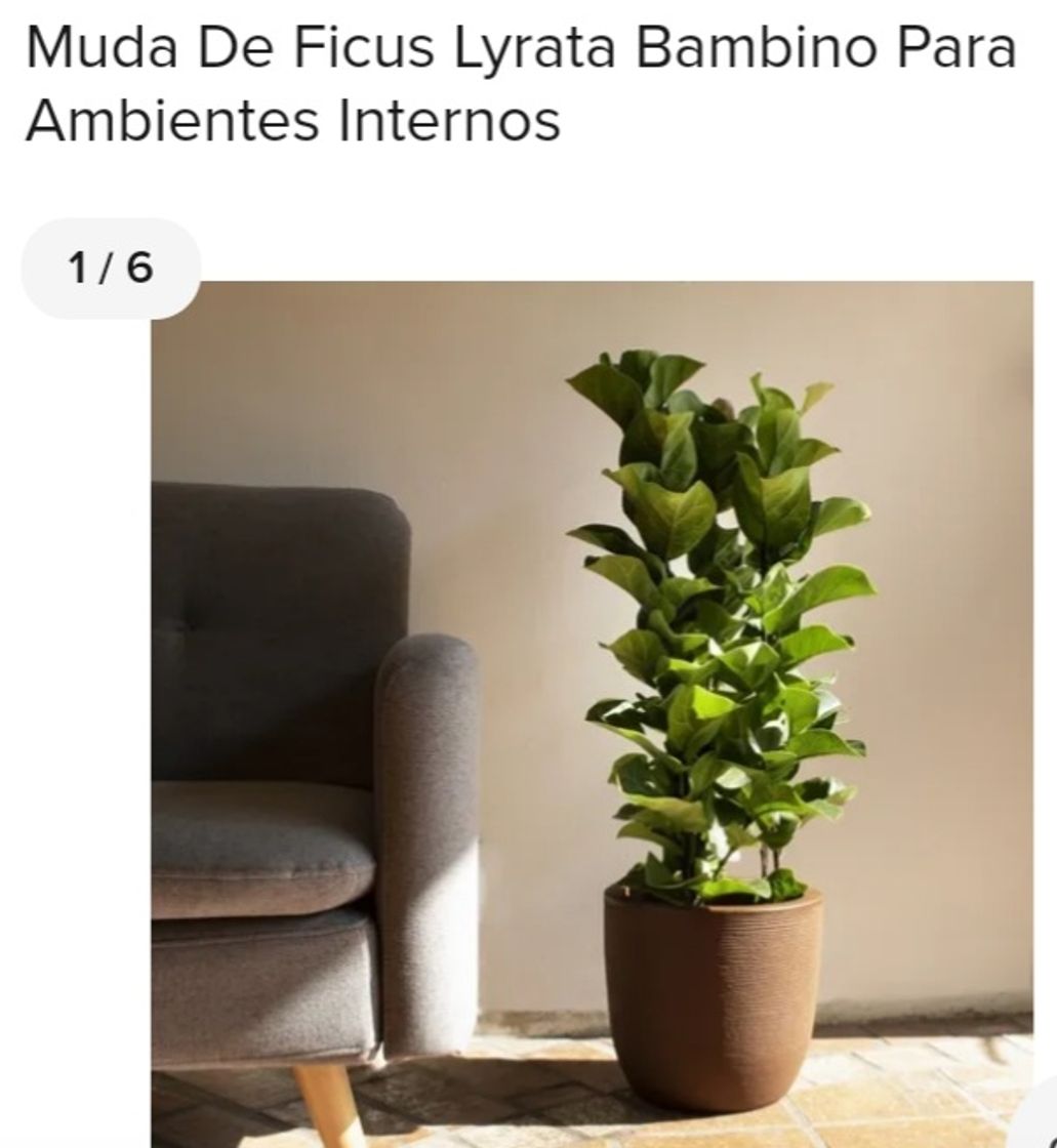 Fashion Plantas artificiais 