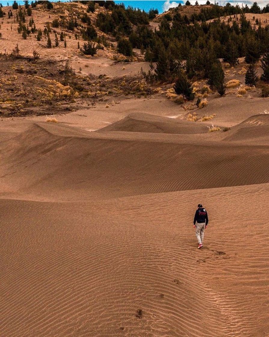 Places Desierto de Palmira