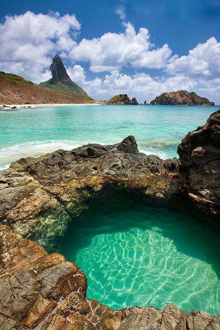 Fashion Fernando de noronha💚