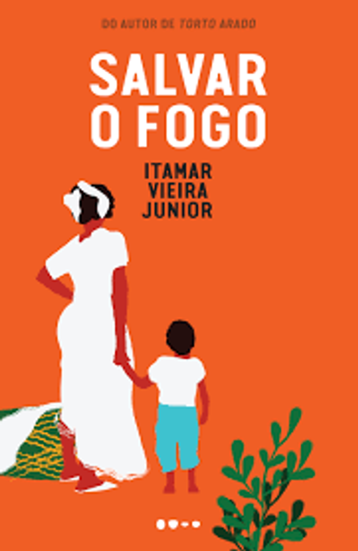 Libro Salvar o Fogo