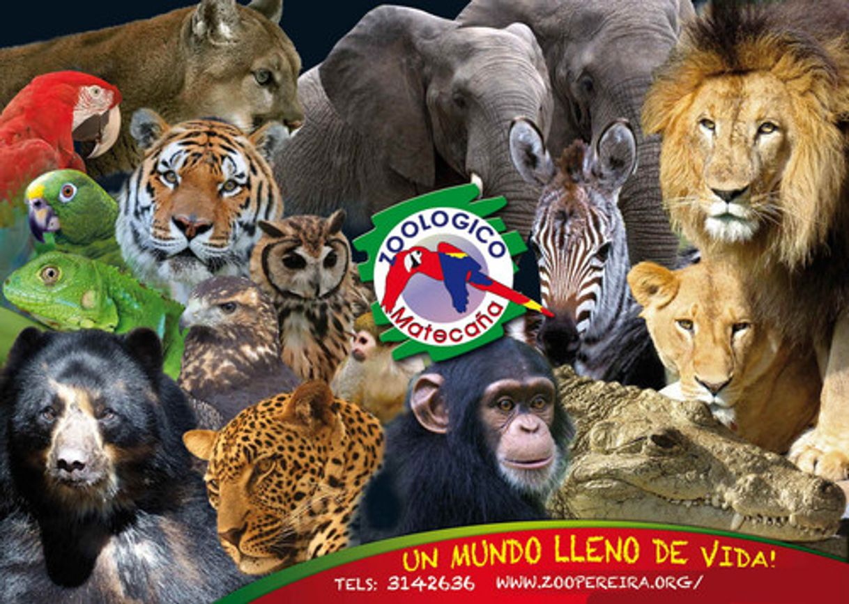 Lugar Zoológico Matecaña