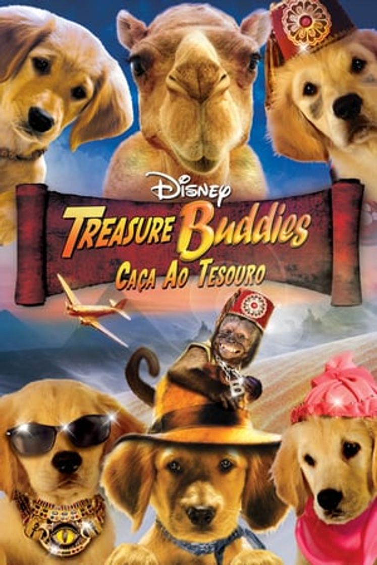Movie Los Buddies cazatesoros