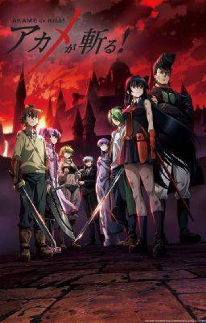 Serie Akame ga kill