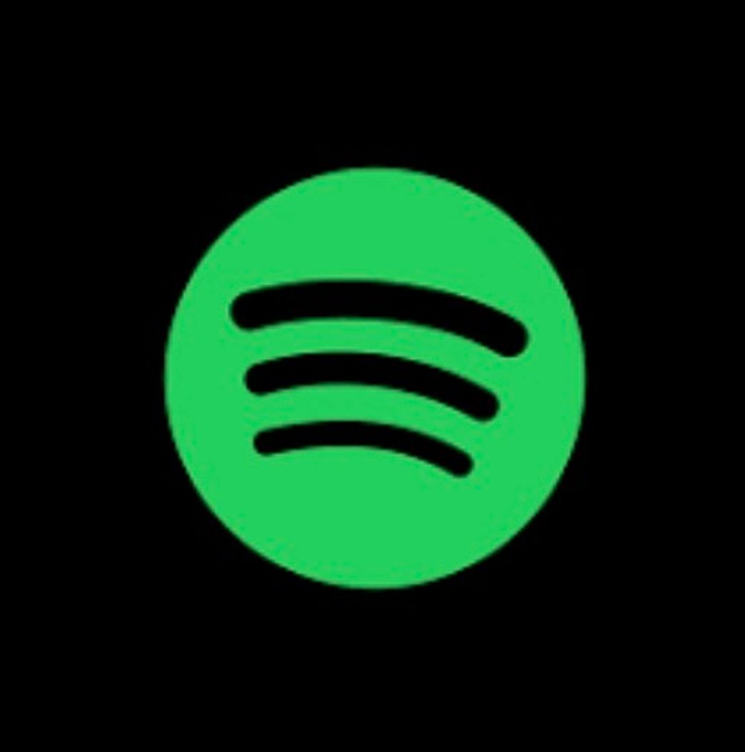 Moda Spotify (pago)