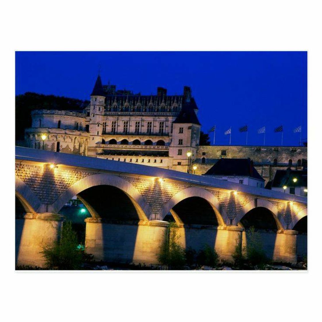 Place Castillo Real de Amboise