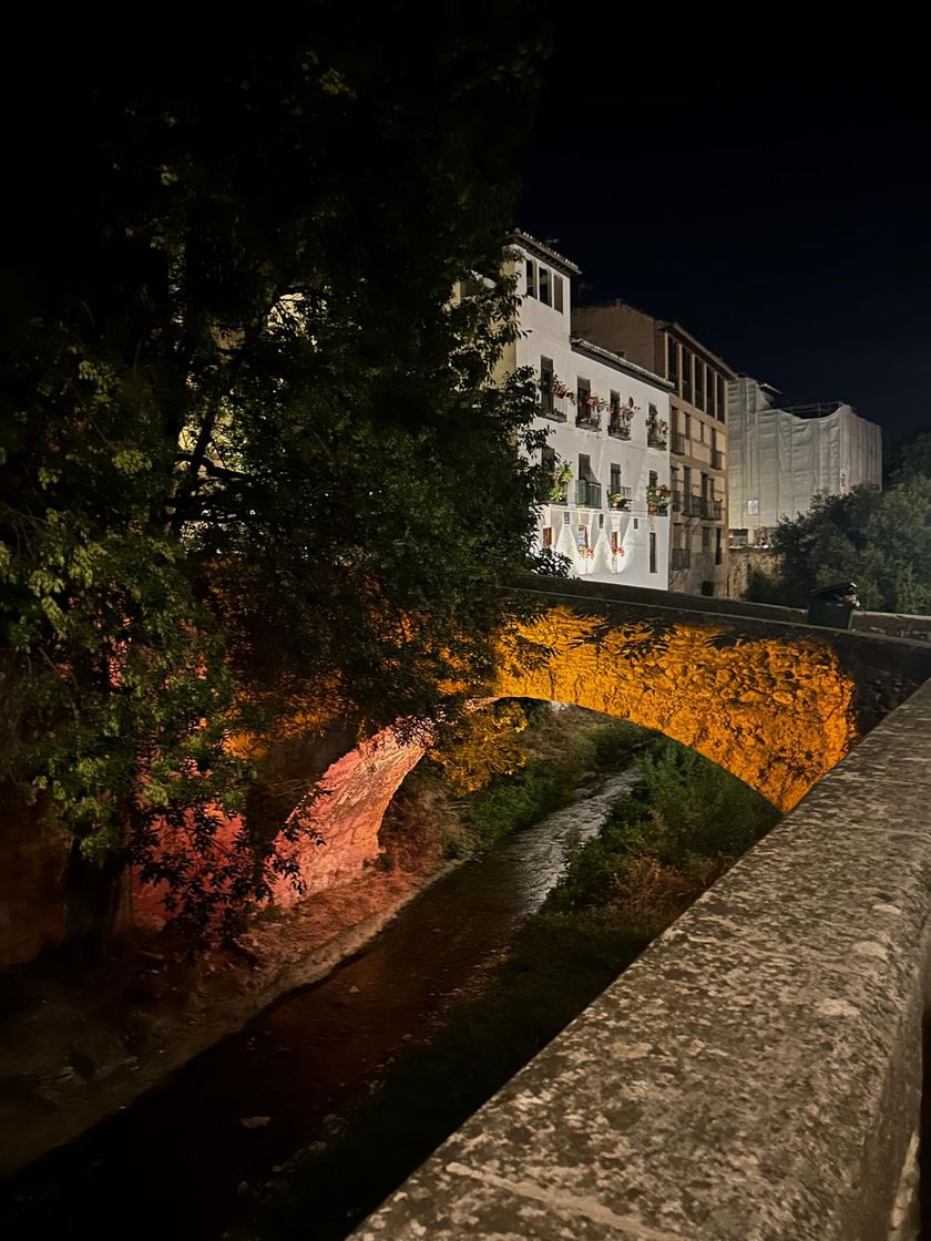 Lugar Carrera del Darro