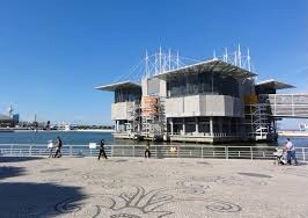 Place Oceanario de Lisboa