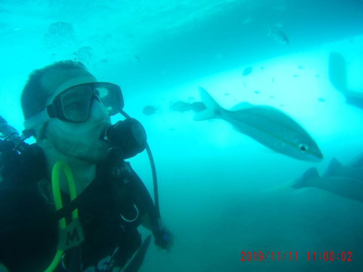 Place Maracajaú Diver