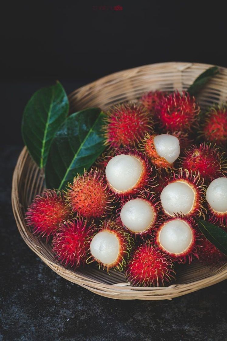 Moda Rambutan