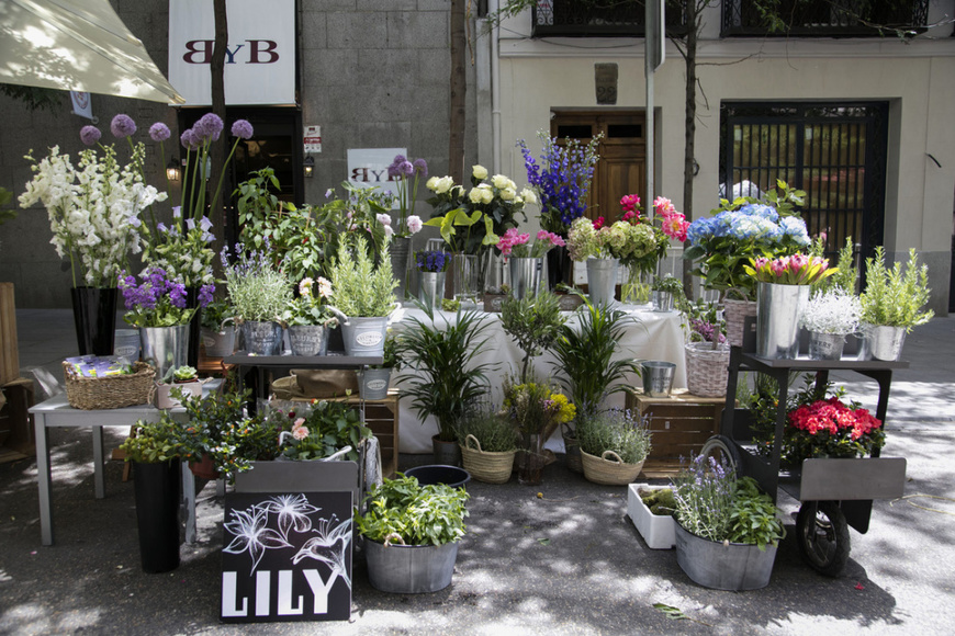 Place Muscari Flores