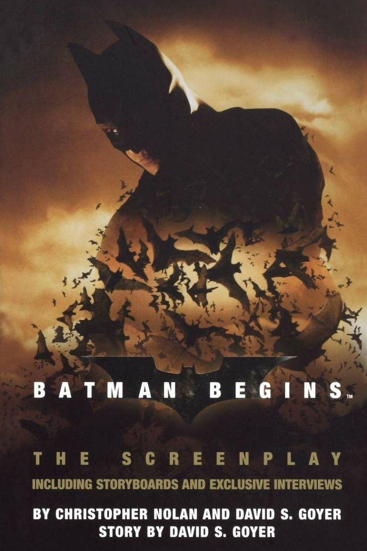 Película Batman Begins