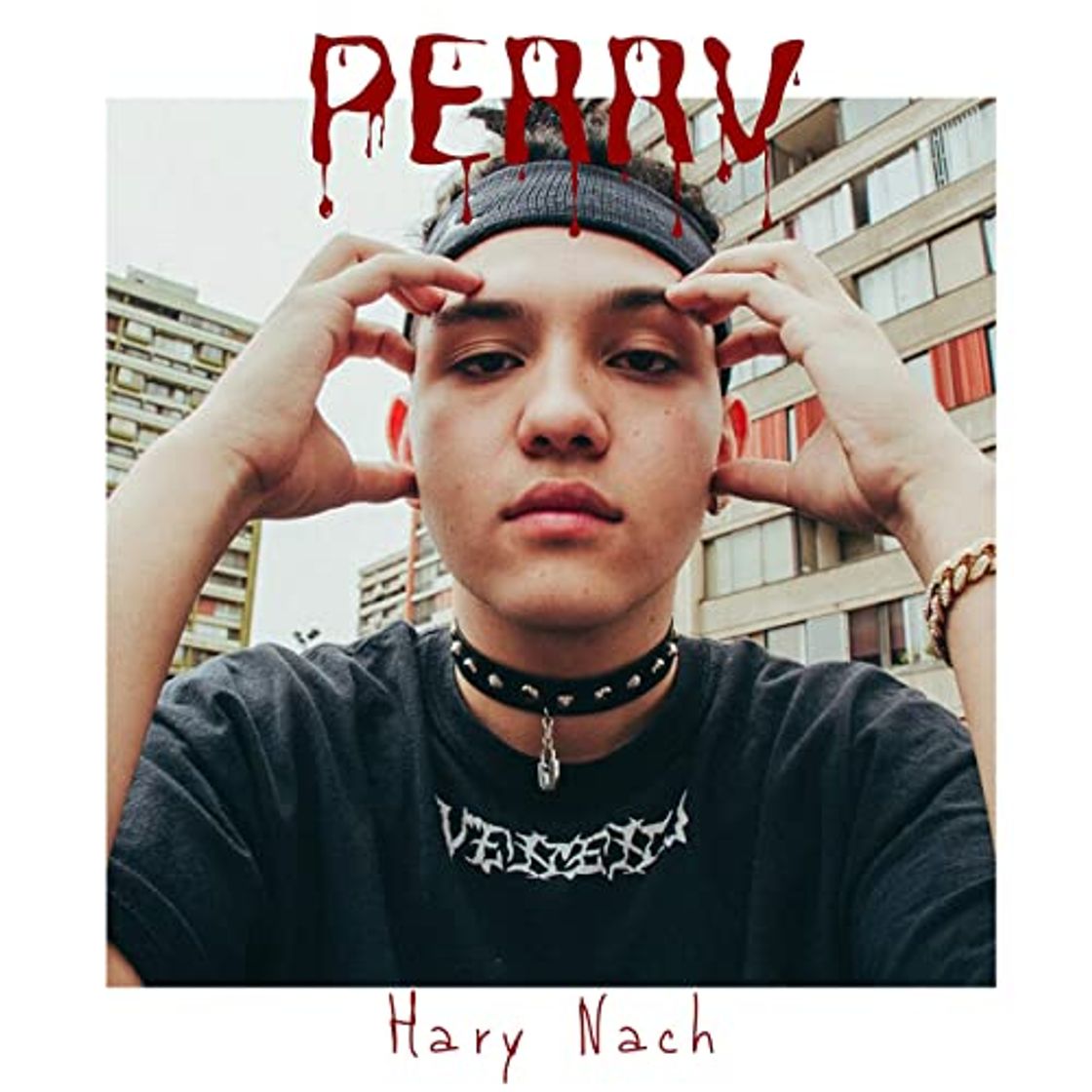 Music Perrv - Harry Nach