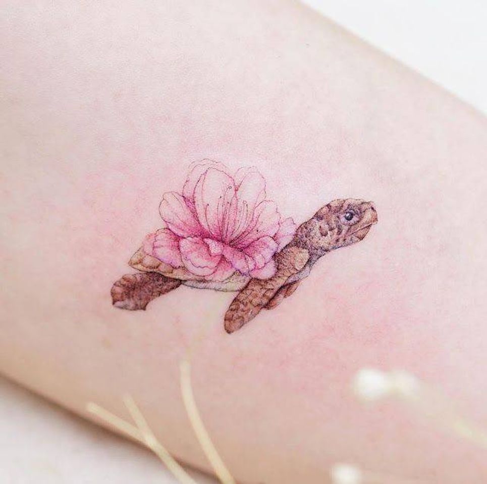 Social Tatto