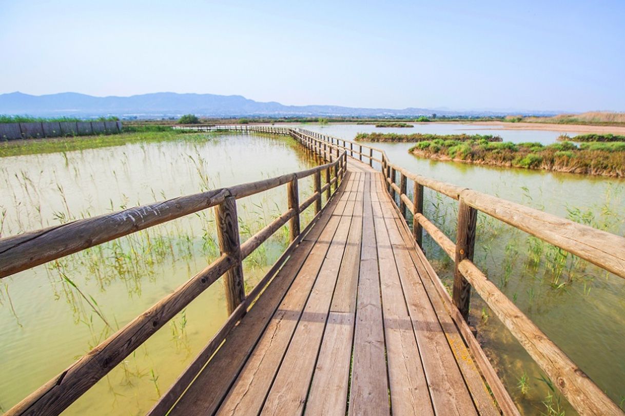 Moda El Parque Natural El Hondo, un precioso paseo sobre pasarelas de ...