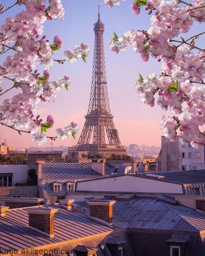 Torre Eiffel, París Francia