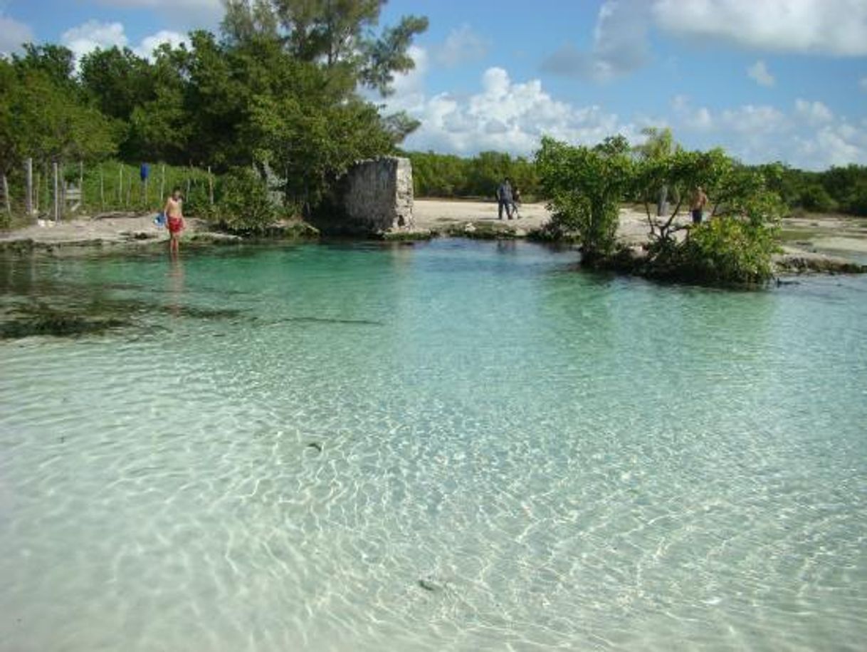 Lugar Punta Esmeralda en Playa del carmen