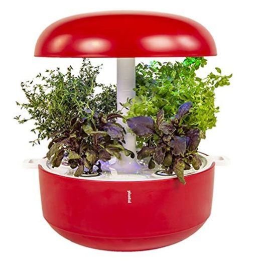 PLANTUI 6 Smart Garden Maceta para Plantas Inteligentes Rojo Alrededor - Macetas