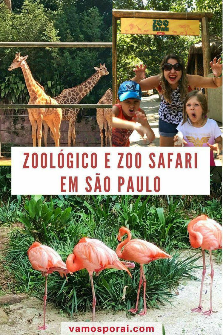 Fashion Zoológico de São Paulo 