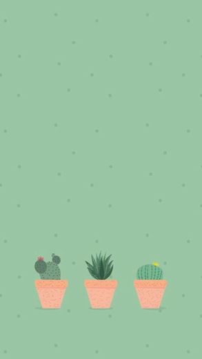 Wallpaper de cactus 