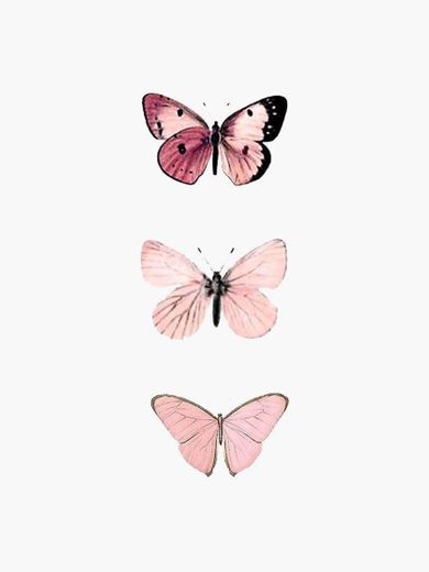 Pink butterflies 🦋 